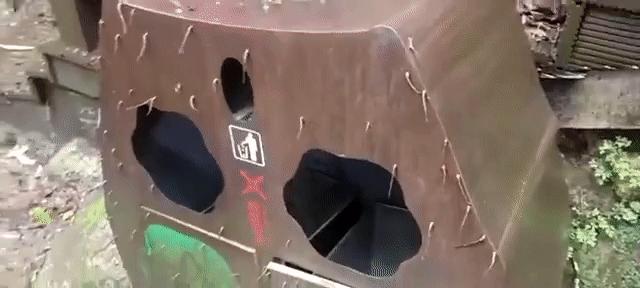 DƬ